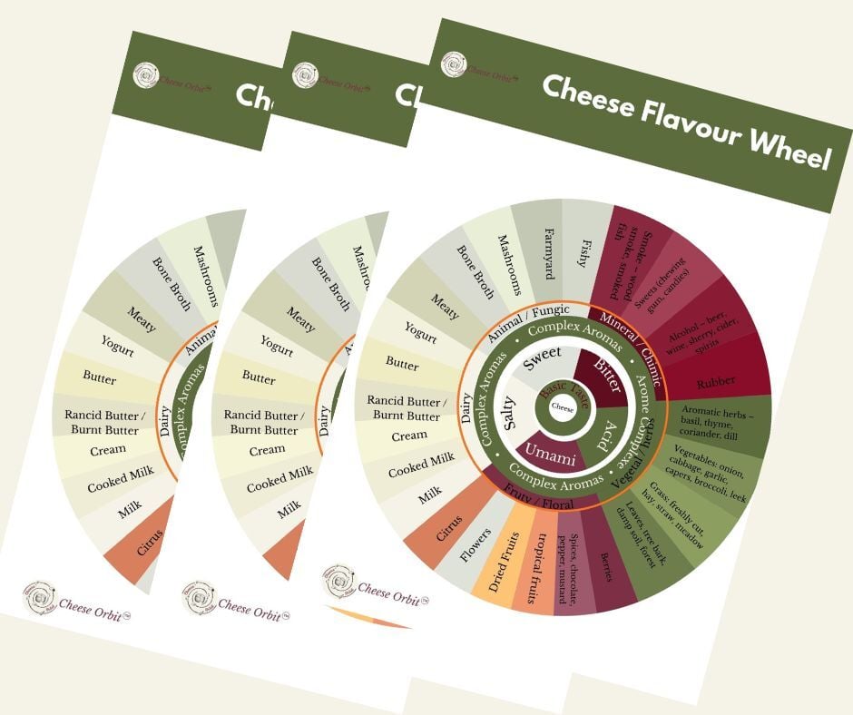 Cheese Orbit's Cheese flavour wheel
