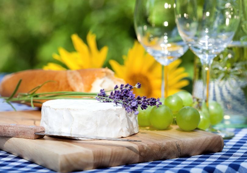 Cheese on a wooden board on a summer day