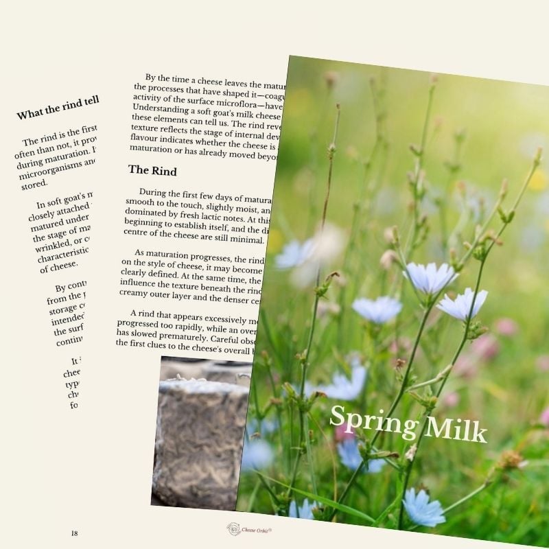 Contents of Spring Cheeses PDF|Cheese Orbit Contents of Spring Cheeses PDF|Cheese Orbit