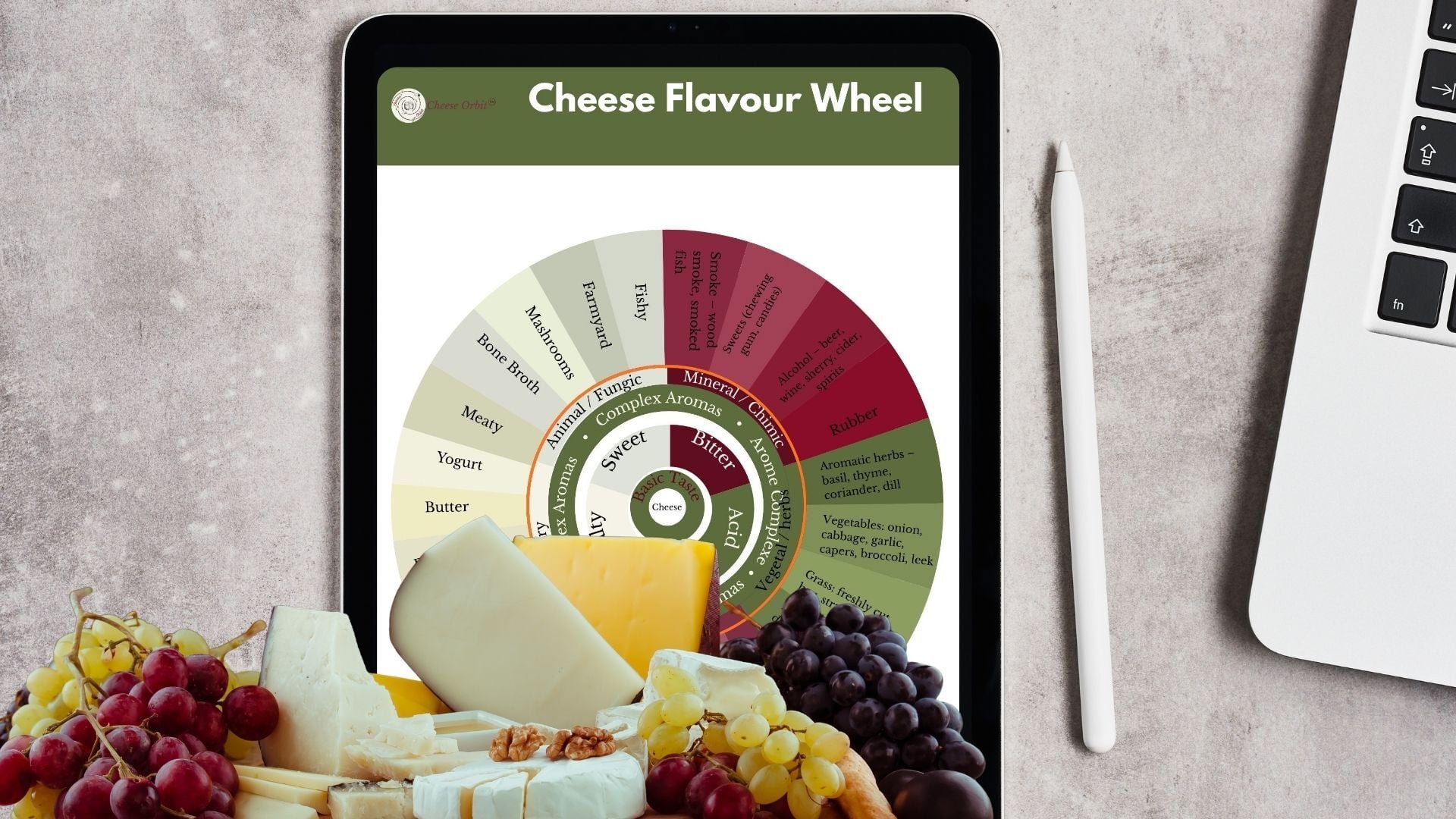 Copy of Copy of GE | Images | Cheese Orbit-Jul-15-2026-01-57-44-9041-PM