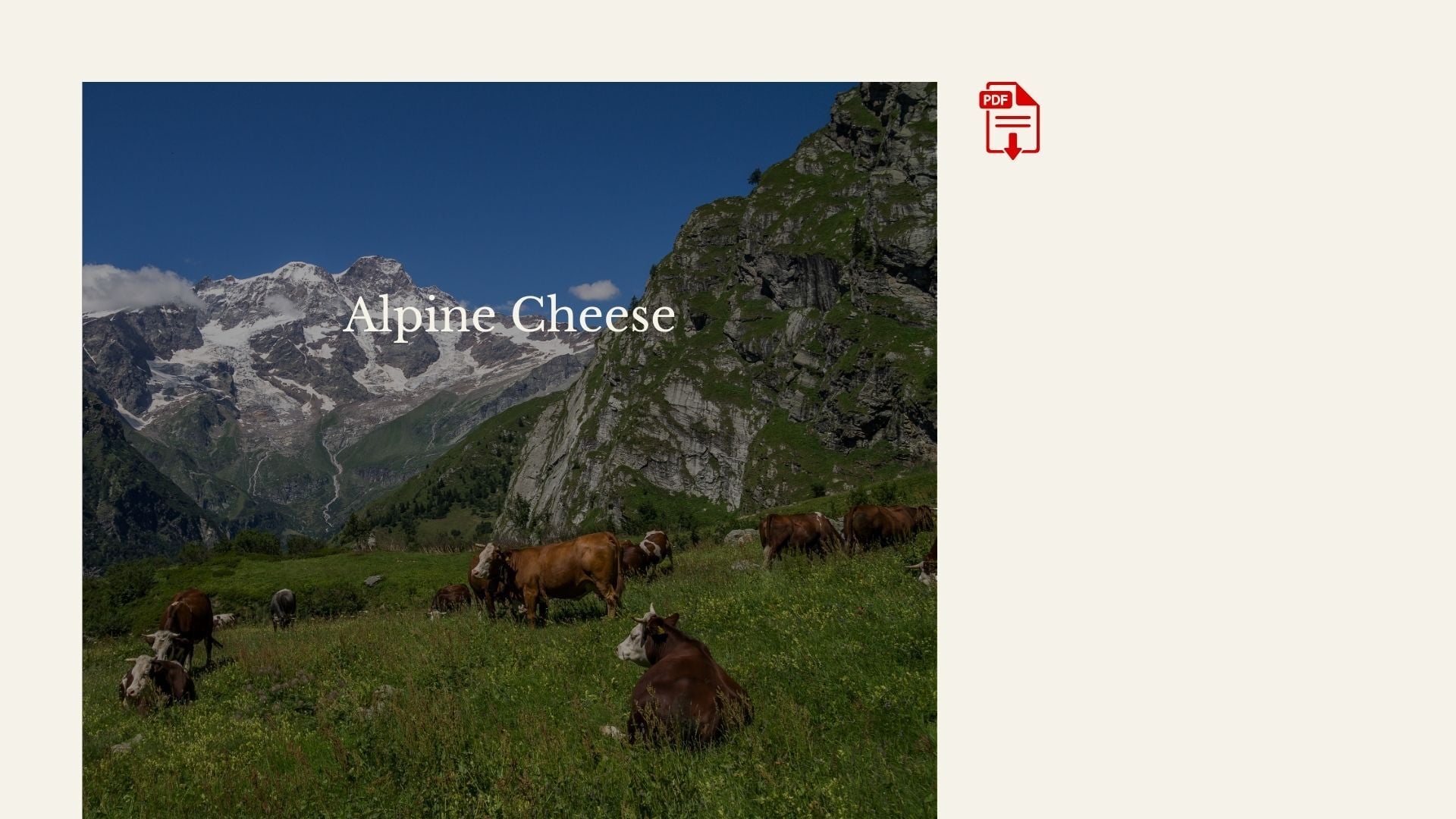 alpine landscape with cows grazing 
