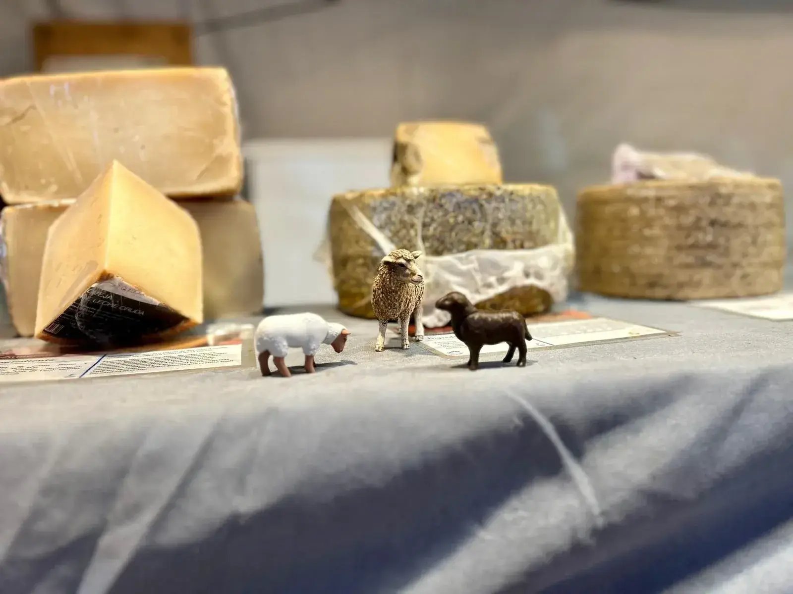 Cheese display in a market with wheels of cheese and animal miniatures