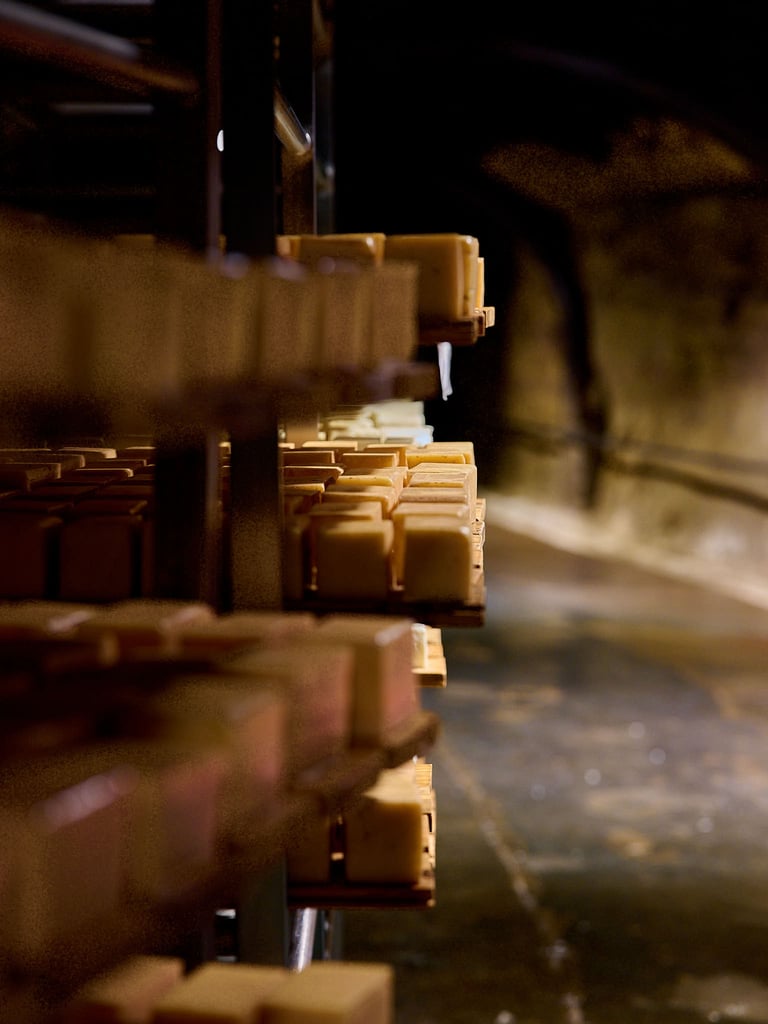 side view of a cheese shelf
