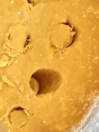 Double Gloucester-Jul-13-2026-09-16-05-8658-PM-2