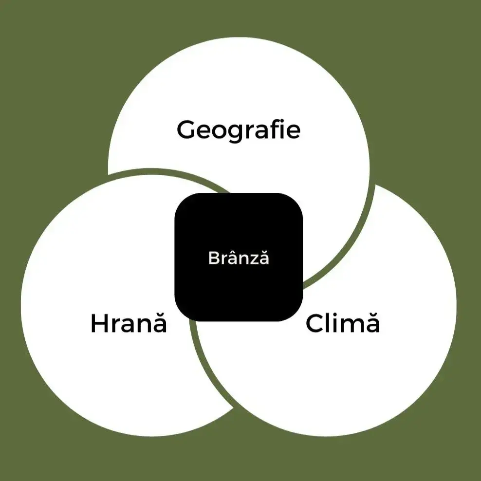 Schema grafica pe fundal verde pal care descrie inter-relaționarea geografiei, hranei si climei cu aspectele branzei
