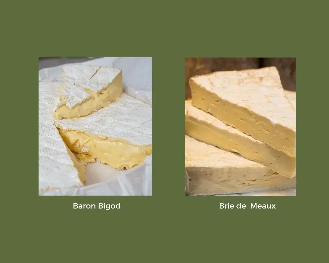 Baron Bigod si Brie de Meaux prezentate comparative pentru diferente in textura