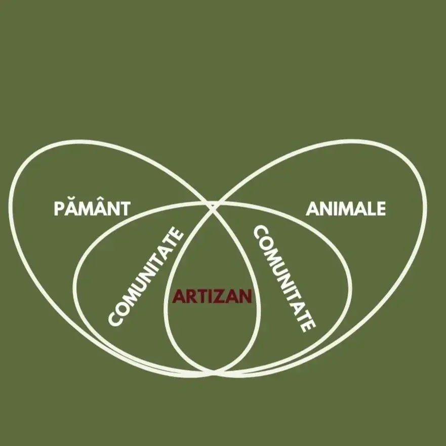 Schema pe fund vernil in care este representat rolul artizanului în comunitate