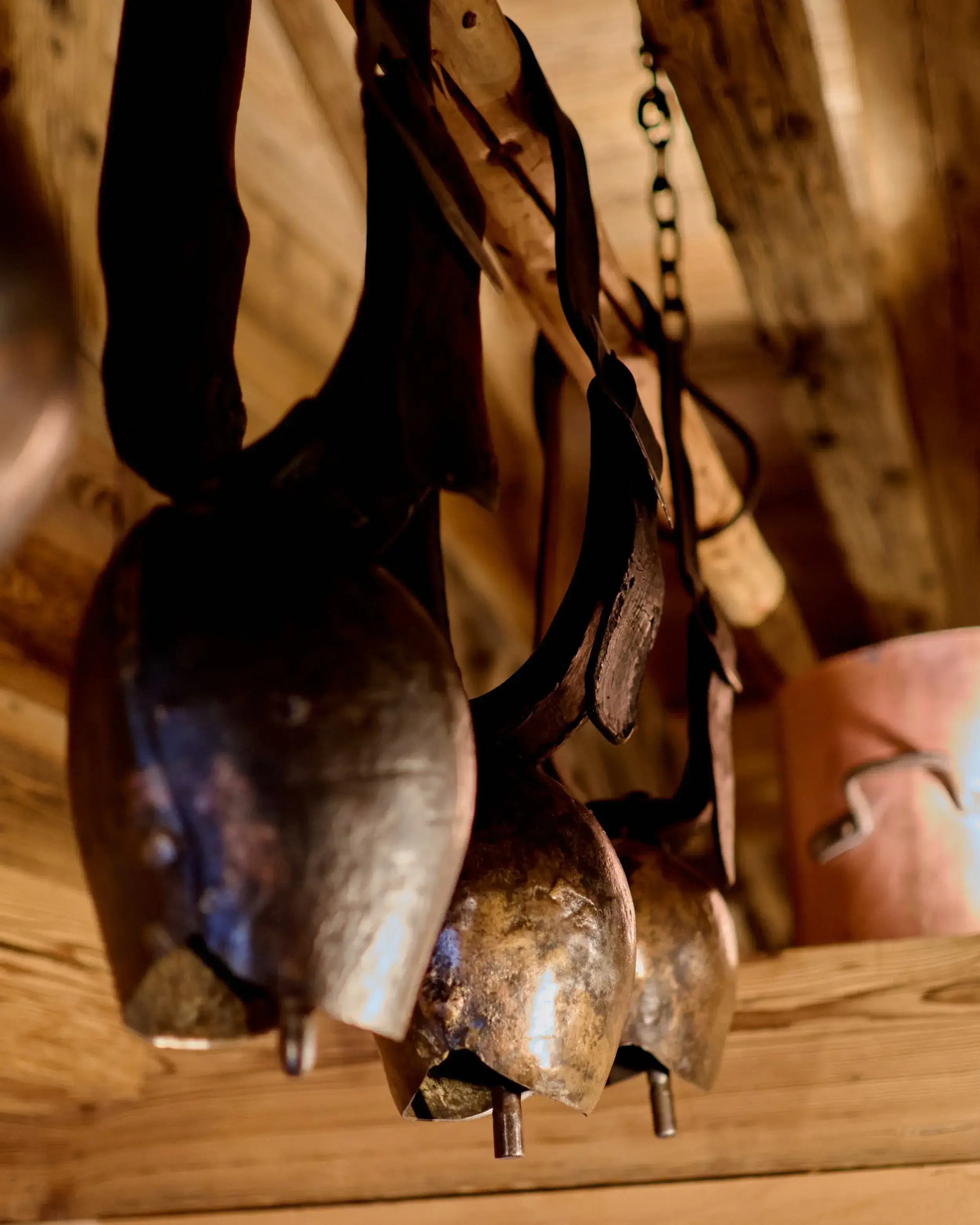 Co-opt de vaca atarnate de barnele unei cabane de lemn elvetiene