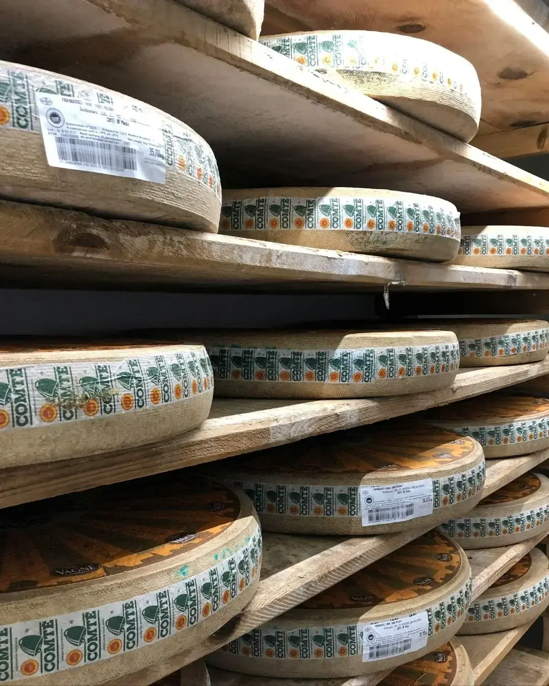 Roti de Comte aflate in pesteri de maturare