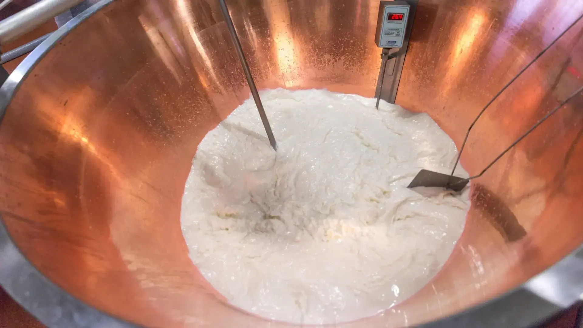 tanc de productie cu lapte