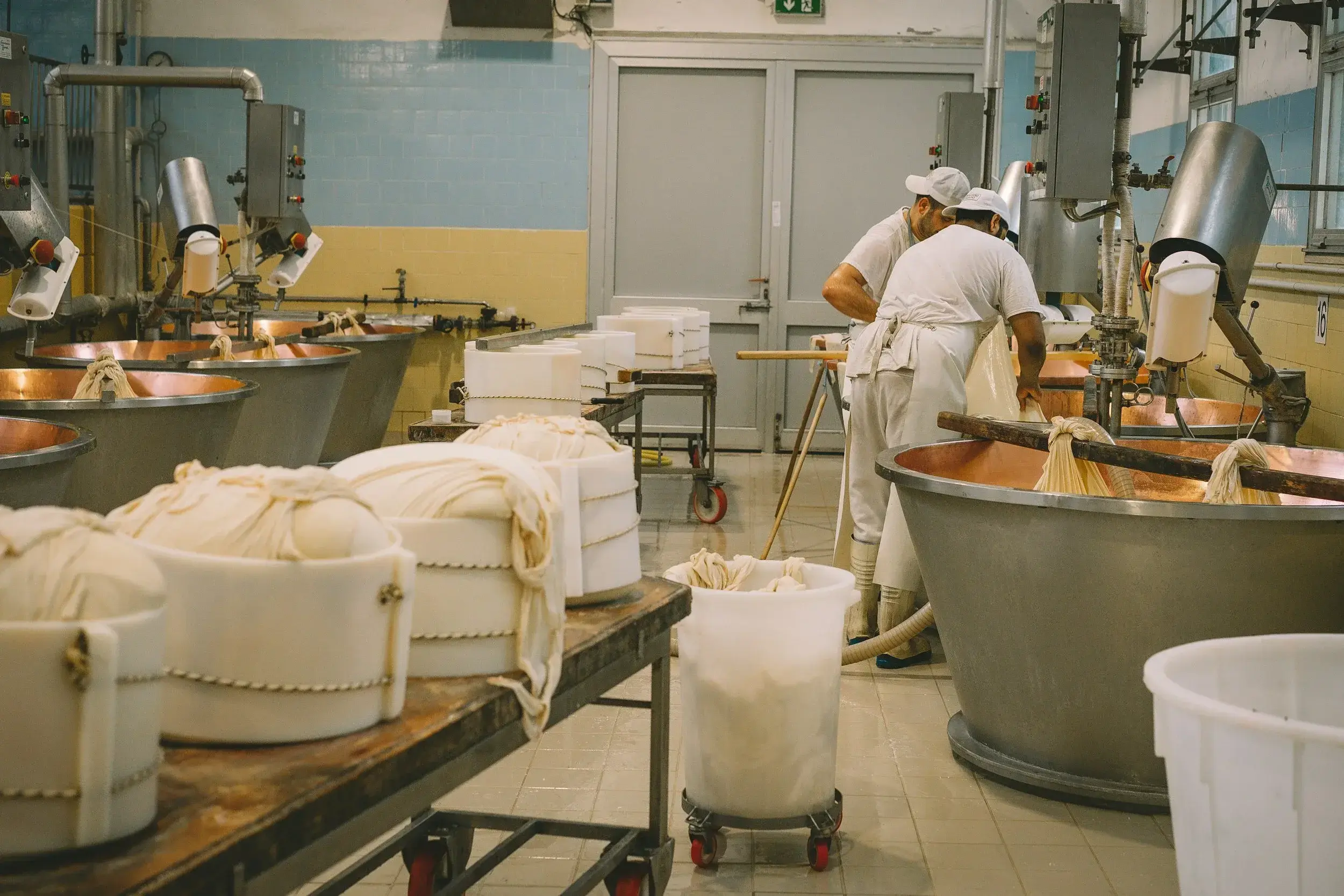 doi branzari lucand deasupra unei vane de branza in care se produce branza alpine
