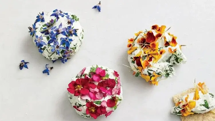 edible-flowers-cheese-9780307954442_horiz-55314abe3fb24813a155325b780fa336.jpgitokno4V7pFu.jpeg
